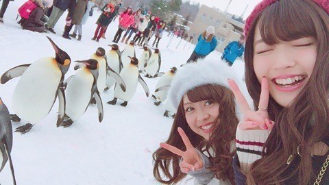 #ペンギン #松元絵里花 #鈴木愛理