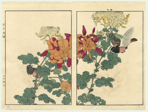 sumi-no-neko:今尾 景年 Imao Keinen (1845 - 1924) from 4 seasons series - Autumn