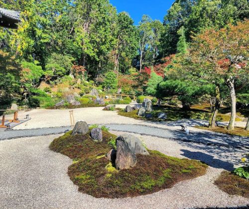 ＼おにわさん更新情報／ ‪[ 京都市左京区 ] くろ谷 金戒光明寺庭園 Kurodani Konkai-Komyoji Temple Garden, Kyoto の写真・記事を更新しました。 ーー平家