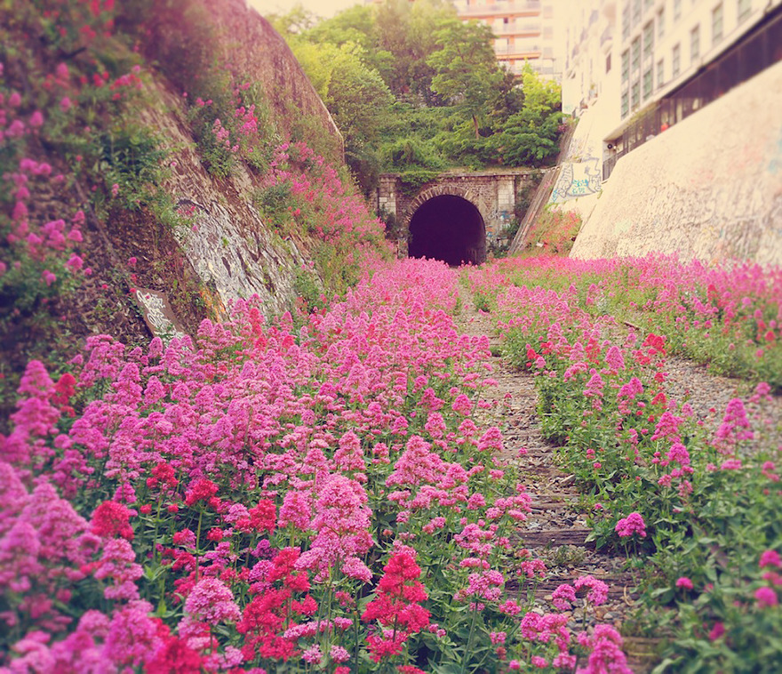 21 Stunning Photographs Of Nature Battling Civilization