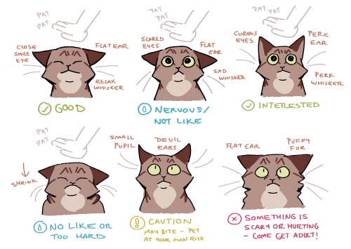 I Made A Chart To Help Our Kid Understand Our Cats' Body Language Better When Petting