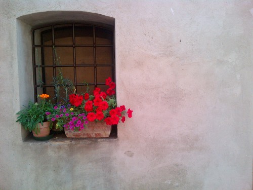 tepitome:  Day 23: San GimignanoI have plenty of photos from today :) It’s a cute little place. Got a chance to go to the highest tower this morning, and it had a stellar view (photos 3-6). Tuscany is really a beautiful place.Went to a few old churches,