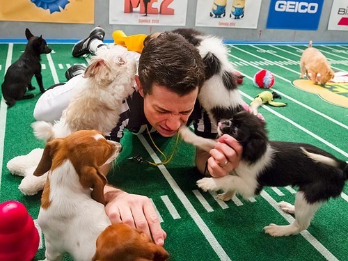 raviavi:  Career goal: Puppy Bowl referee.                  