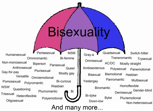 bialogue-group: Transgender Bisexual Political Nerd: Bisexual UmbrellaIn his commentary on one of th