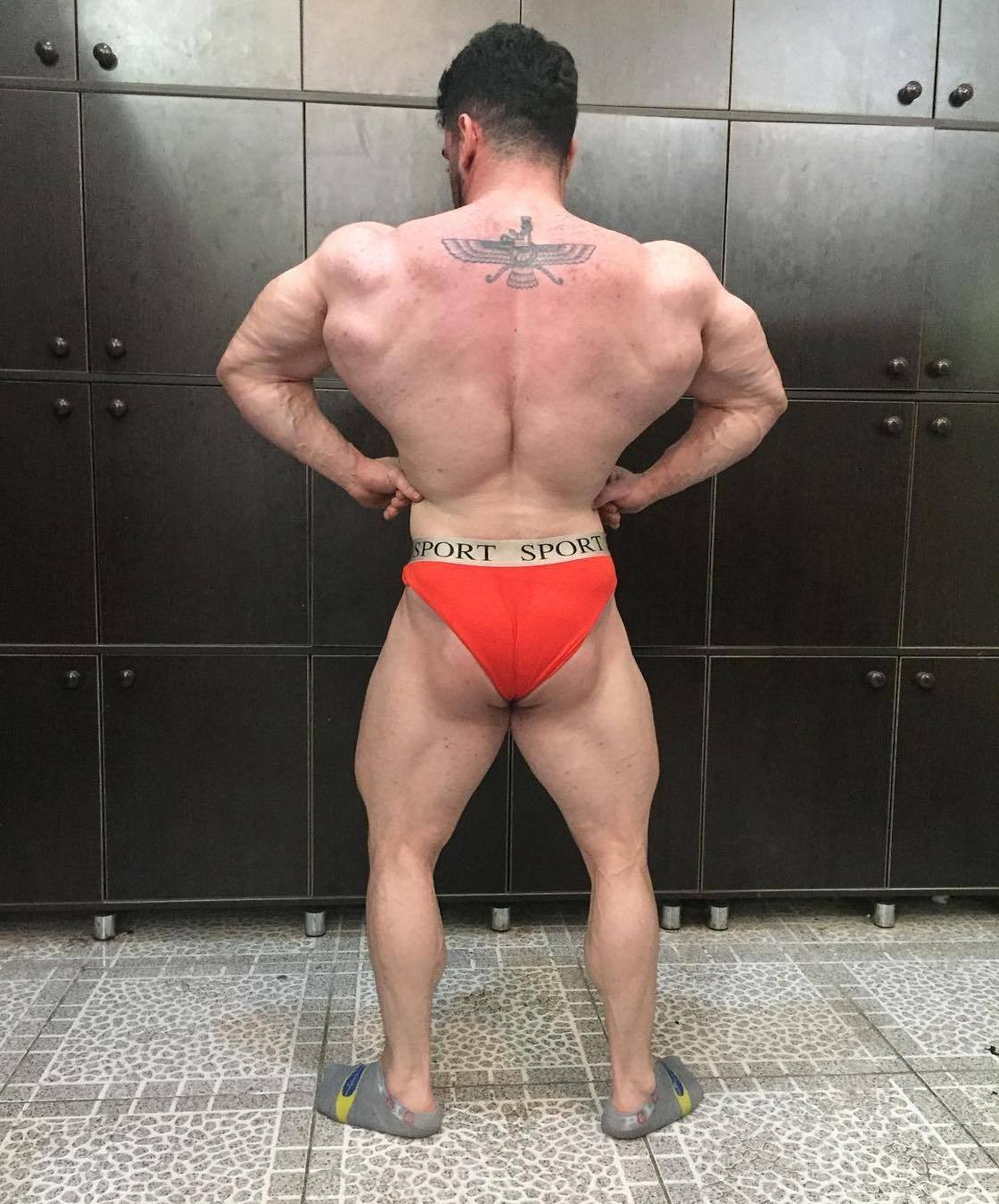 needsize:  Daruosh Abedi