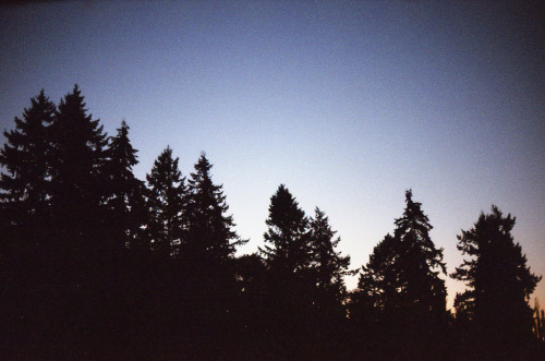 magicsystem:  (by 712_)