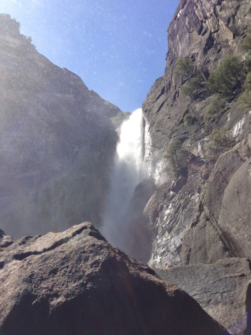 gluestick101:  Yosemite National Park 5.19.13