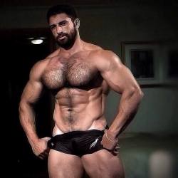 Muscular, hairy, sexy, great pecs - WOOF
