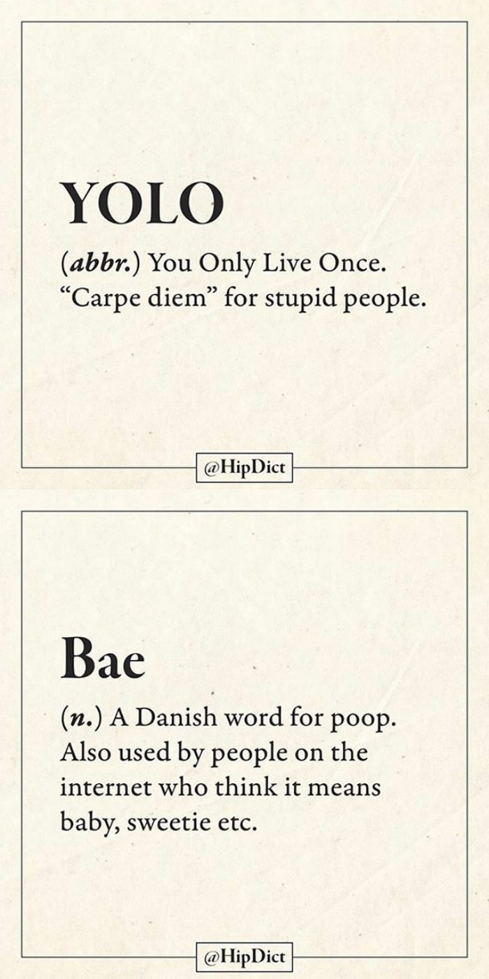pr1nceshawn:    If Dictionaries Were Honest…