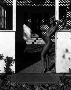 nudepageant:  Patio Shadows 