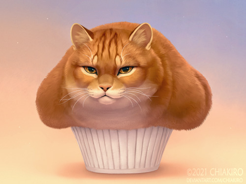 If I fits, I sits, if I don&rsquo;t, I sits anyway and become a muffin Instagram