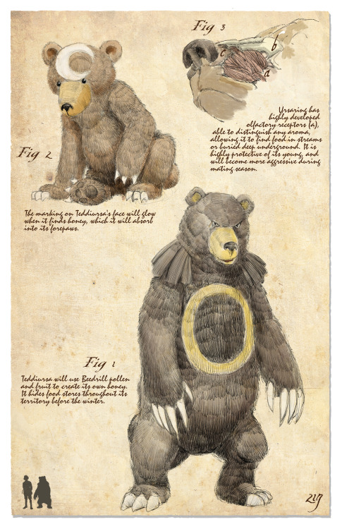 bogelbear:Pokemon Zoography, or, a Natural History of Johto - Plate 217: Ursaring