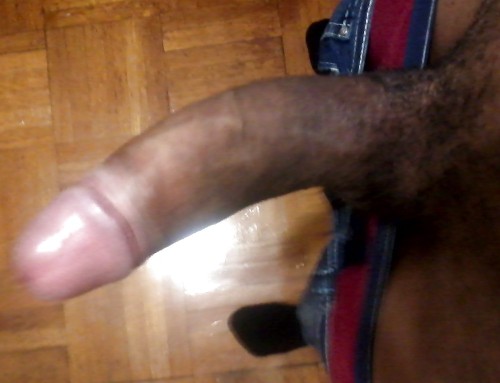 mcaval12:  Reblog, follow, make  donation:  http://mcaval12.tumblr.com/ Submit pics here http://mcaval12.tumblr.com/submit             Thanks to all my 18,000 followers               