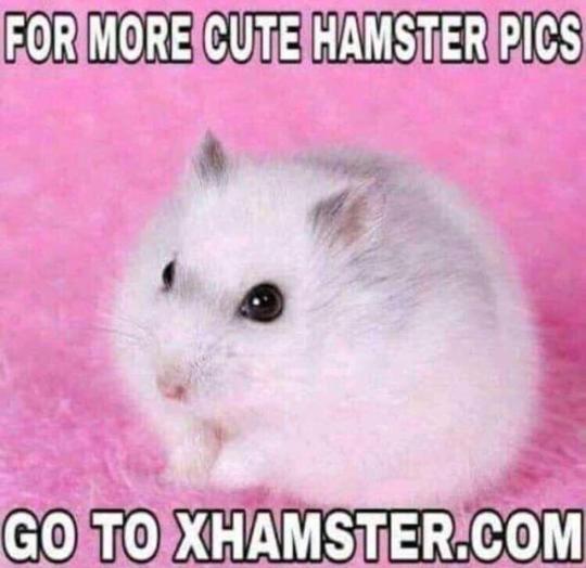 northernrarity:  oh2bfree2:    😂😜