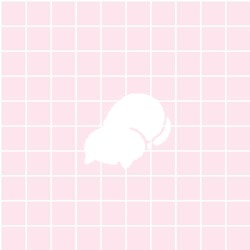 pinkieskypink:  Neko Atsume 🌸 Snowball