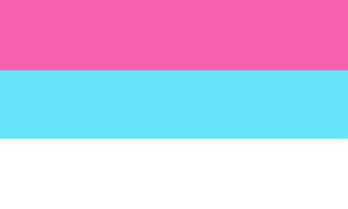 duwang-flags-inc:Crazy Diamond Pride FlagsOrder: Gay, Lesbian, Bi, Trans, NB, Pan, Polysexual, Asexu