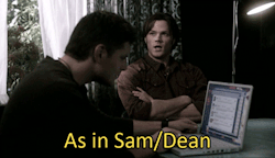 castiel-knight-of-hell:  During the early seasons of Supernatural ficcers didn’t use ship names like Wincest, they slashed the names together as Sam/Dean or Dean/Sam. The writers are obviously aware of this because they referenced it in Monster at