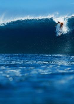 inceration:  highenoughtoseethesea:  Sally Fitz, charging. Ph: Roxy  Following back everyone xx