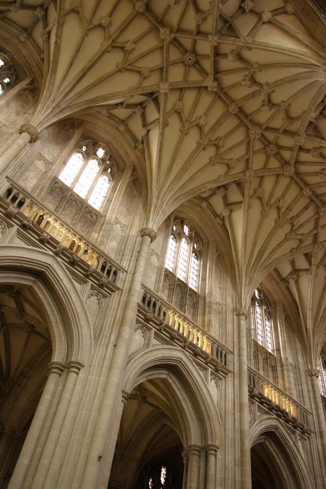 kadevohn:Amazing vaulted ceilings in cathedrals