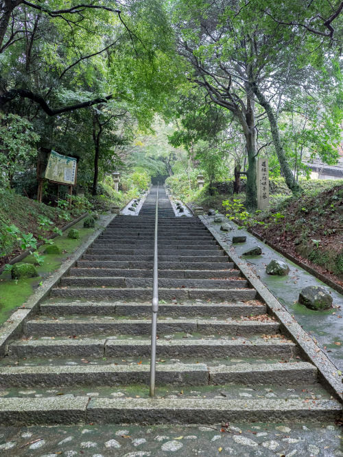 帰りの道中寄ってみましょうと科長神社（しながじんじゃ）と美具久留御魂神社（みぐくるみたまじんじゃ）にふらりと。@masachiさんご推奨の場所ということもあり、なかなかの見応えとまったり感でございまし