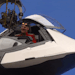 birdsareblooming:birdsareblooming:birdsareblooming:thinking about how they built