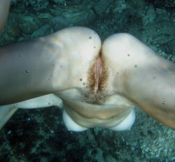 i-am-nude-by-nature:  Underwater shots are