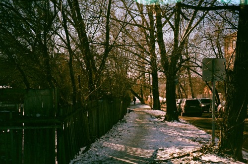 Sunny Winter Days Captured On Film