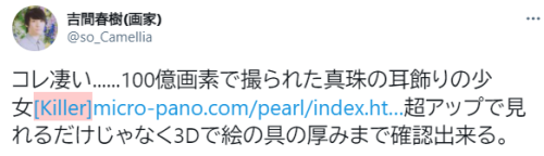 tkr:  吉間春樹(画家)さん / TwitterHIROX - GIRL WITH PEARL EARRING - GIGAPIXEL PANORAMA - https://www.micro-pano.com/pearl/index.html