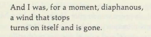 Octavio Paz, ‘The Face and the Wind’, A Tree Within (trans. Eliot Weinberger)