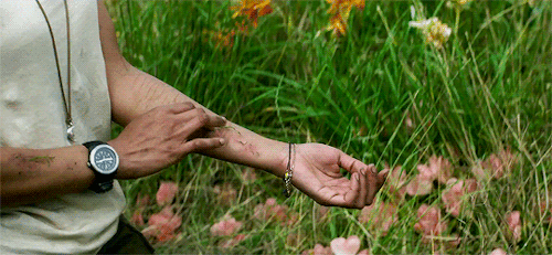 pattyjenkins:   Annihilation (2018) dir. Alex Garland