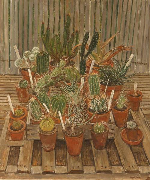 cactus-in-art:Olwyn Bowey (British, *1936)The cactus collection