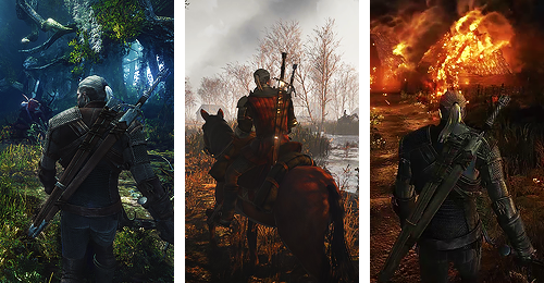 christophur:  The Witcher 3: Wild Hunt       