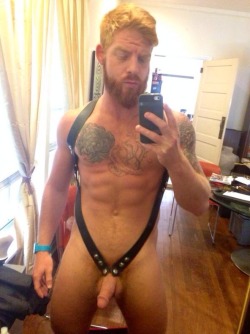 garbogingerlover: gingerobsession:  You know