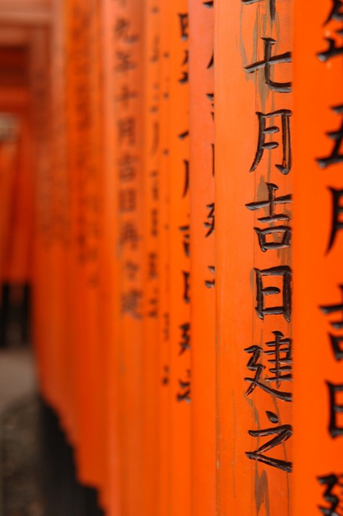 Fushimi Inari Shrine, Kyoto, Japan