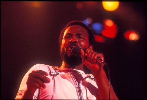 gayemarvins:Marvin performing at the Forum in Inglewood, California, May 17, 1974