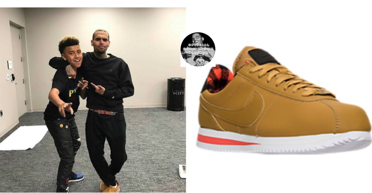 chris brown nike cortez