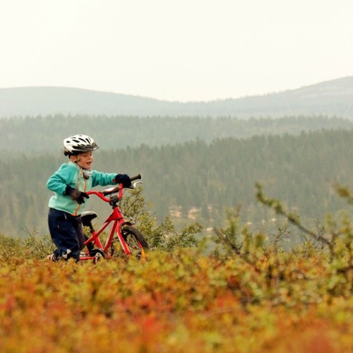 janijohansen: Almost at the top. #mtb #saariselkä #minime #ahopäät #iamspecialized (at Ahopäät)