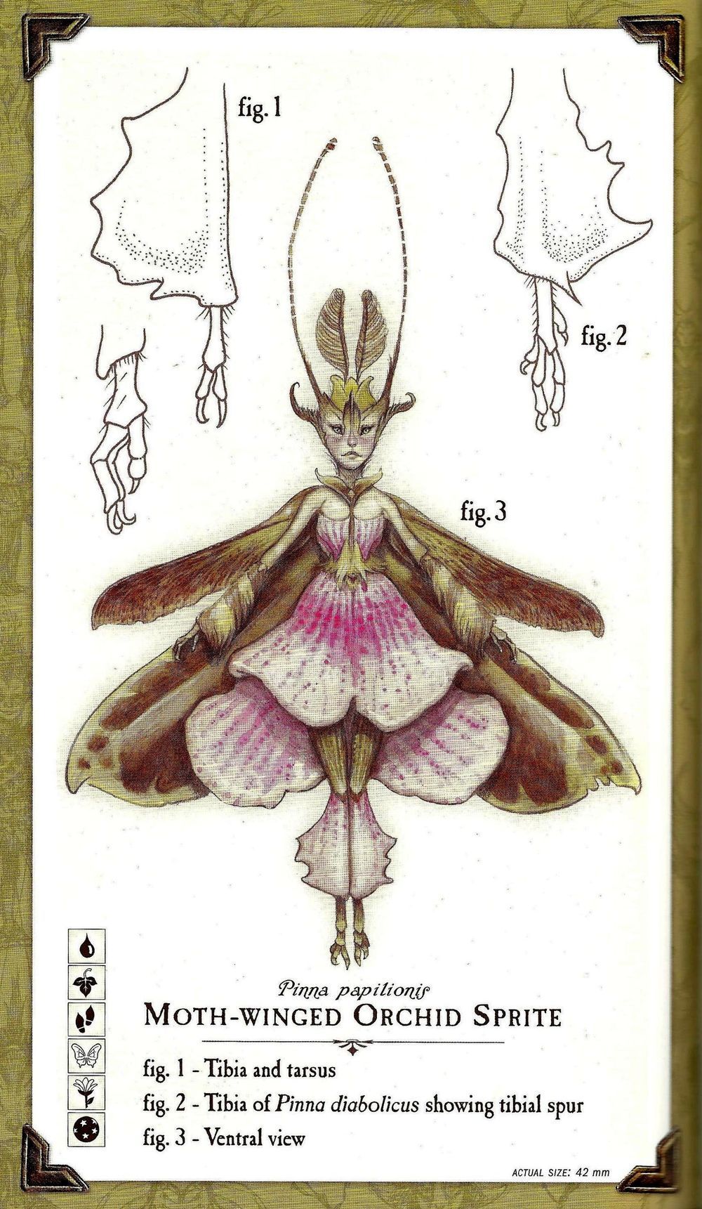 Faerie Lore Sprites By Tony Deterlizzi Faerie Lore Sprites By Tony Deterlizzi