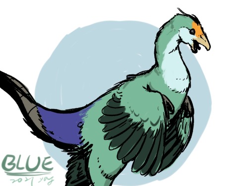 又畫了一隻鳥寶龍，參考自家小鸚Blue~