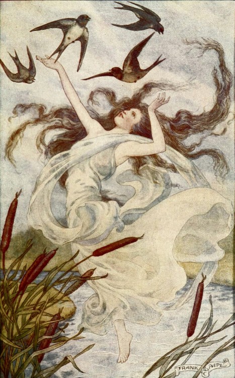 the-evil-clergyman:The Wind and The Swallows, from At the Back of the North Wind by Frank C. Pap&eac