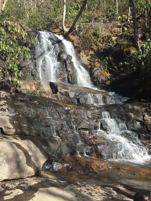 sassygapeach79:  Laurel Falls, Cade’s  Cove, Gatlinburg, Tn