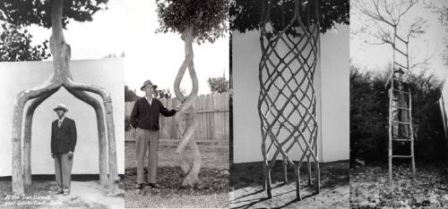 The Tree Whisperer Erlandson, born in 1884 has a passion for sculpting trees, also known as arb