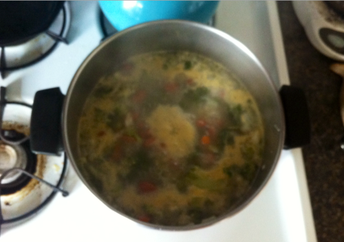 My Healthy Root Soup! Ingredients: - 12oz frozen steam bag of broccoli, steamed in micro half way - 