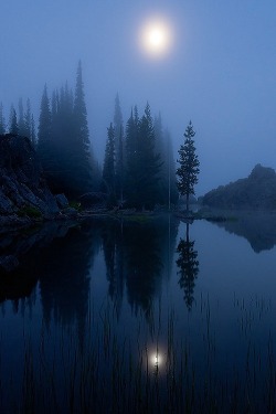 ponderation:  Morning Moon… by Andrew Kumler