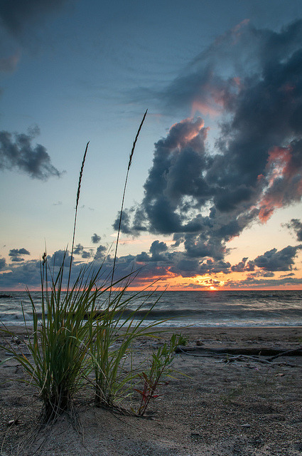 3leapfrogs:  dranilj1:  Presque Isle Sunset - 9 by Christopher Lane Photography on