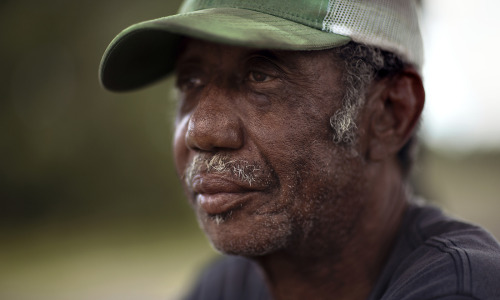 How a Black Farming Community Found JusticeShirley Sherrod co-founded New Communities, a Black farmi