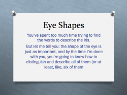 samswritingtips:  The basics of eye shapes