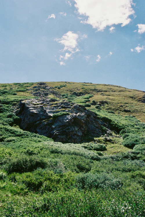 Guanella Pass, ColoradoShot on 35mm Kodak Portra 400 Film