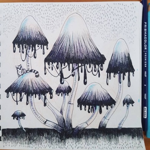 #mushroommarch 03: Ink caps! Two bunnies hidden ;-). Done with fine liners and color pencils. #inked