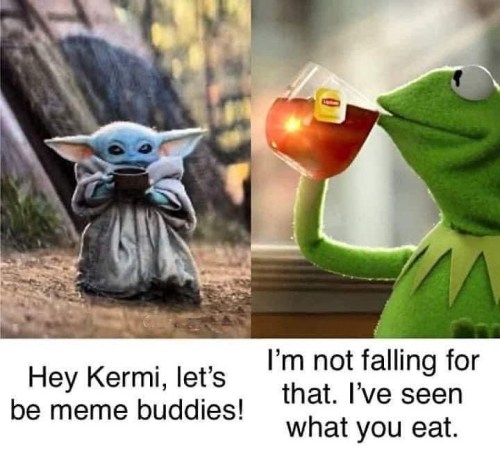 Kermie don’t play that. #themandalorian www.instagram.com/p/B7E7pYRpxU0/?igshid=1cfosm